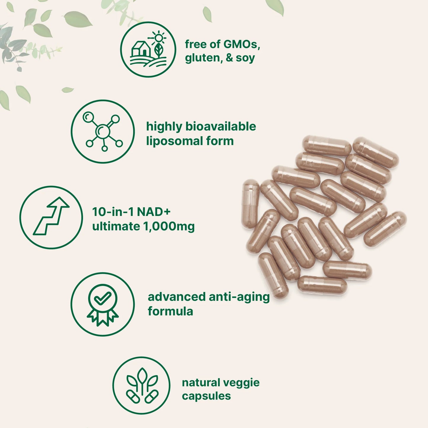 Symflora Liposomal NAD+